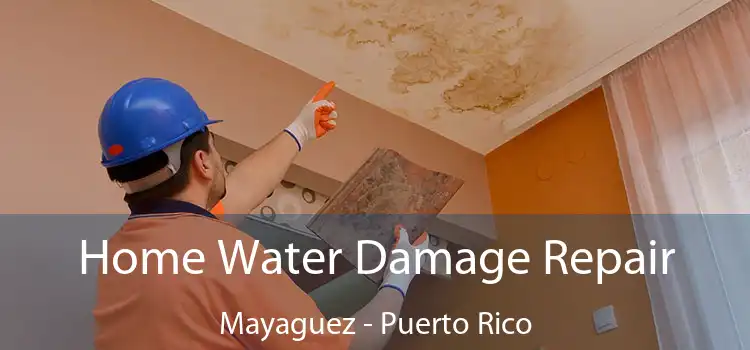 Home Water Damage Repair Mayaguez - Puerto Rico