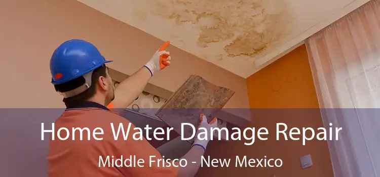 Home Water Damage Repair Middle Frisco - New Mexico