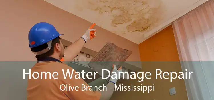Home Water Damage Repair Olive Branch - Mississippi