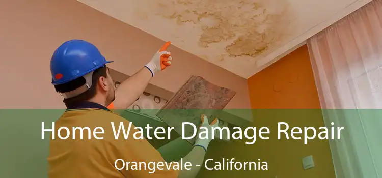 Home Water Damage Repair Orangevale - California