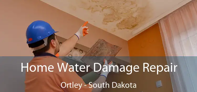 Home Water Damage Repair Ortley - South Dakota