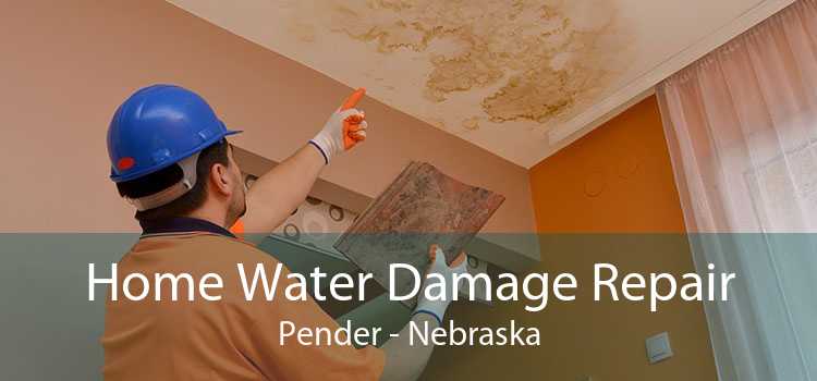 Home Water Damage Repair Pender - Nebraska