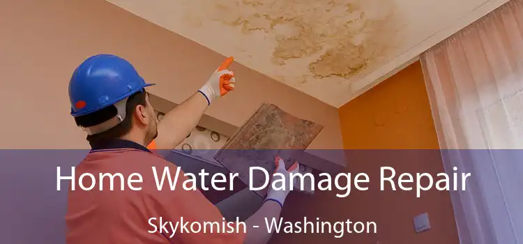 Home Water Damage Repair Skykomish - Washington