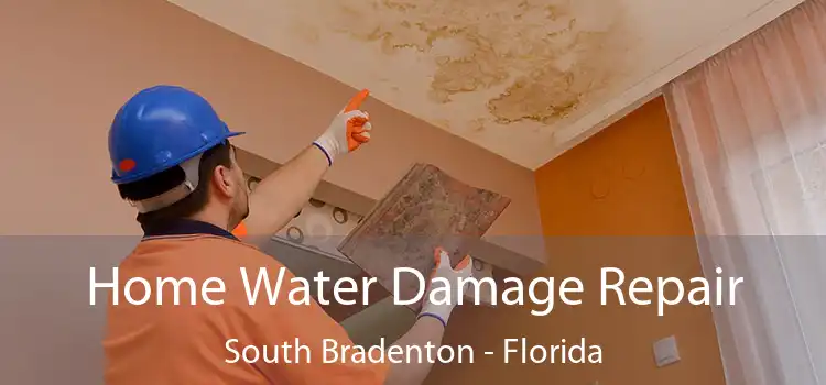 Home Water Damage Repair South Bradenton - Florida