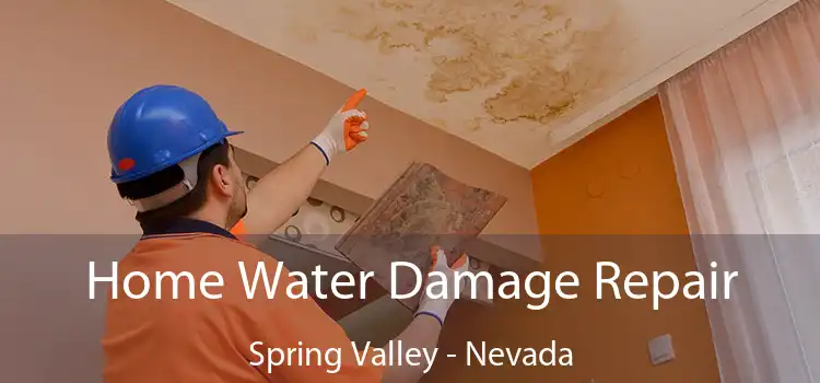 Home Water Damage Repair Spring Valley - Nevada