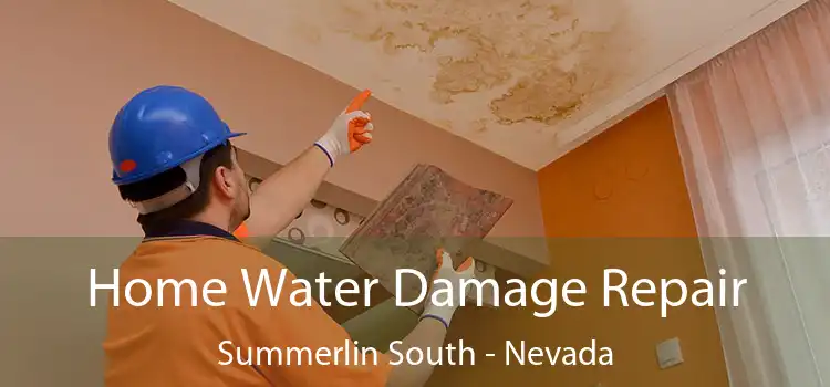 Home Water Damage Repair Summerlin South - Nevada