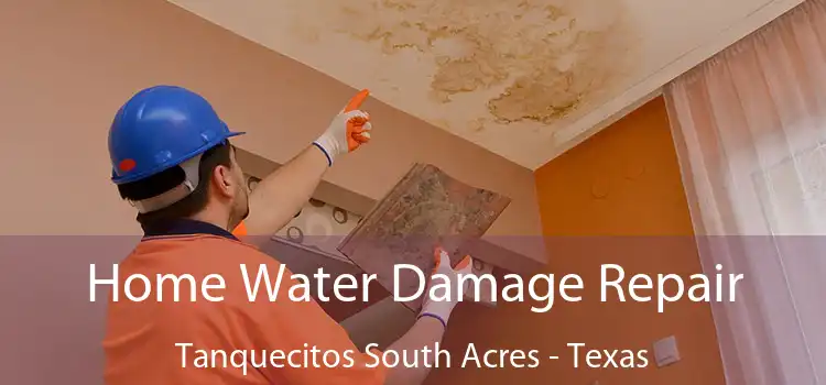 Home Water Damage Repair Tanquecitos South Acres - Texas