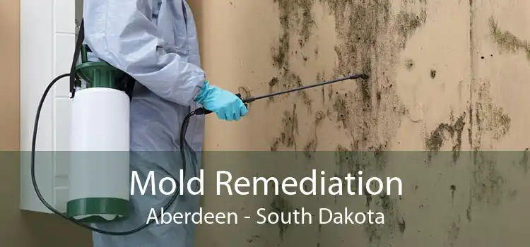 Mold Remediation Aberdeen - South Dakota