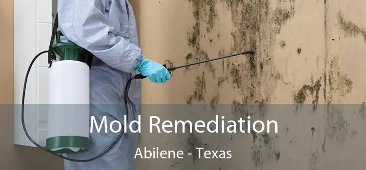 Mold Remediation Abilene - Texas