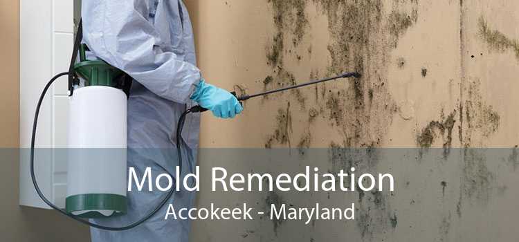 Mold Remediation Accokeek - Maryland
