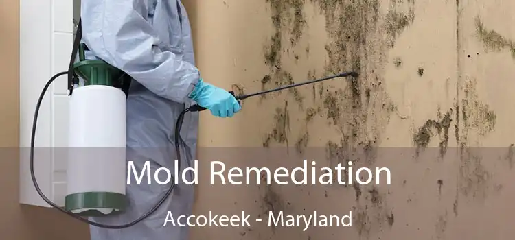 Mold Remediation Accokeek - Maryland