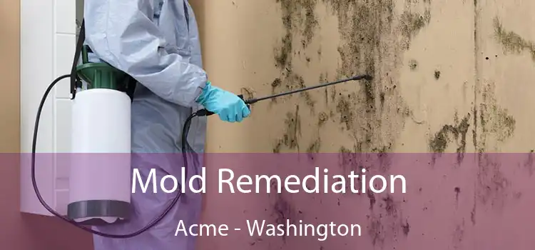 Mold Remediation Acme - Washington