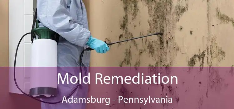 Mold Remediation Adamsburg - Pennsylvania