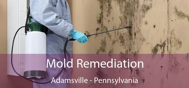 Mold Remediation Adamsville - Pennsylvania