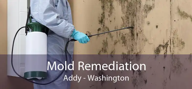 Mold Remediation Addy - Washington