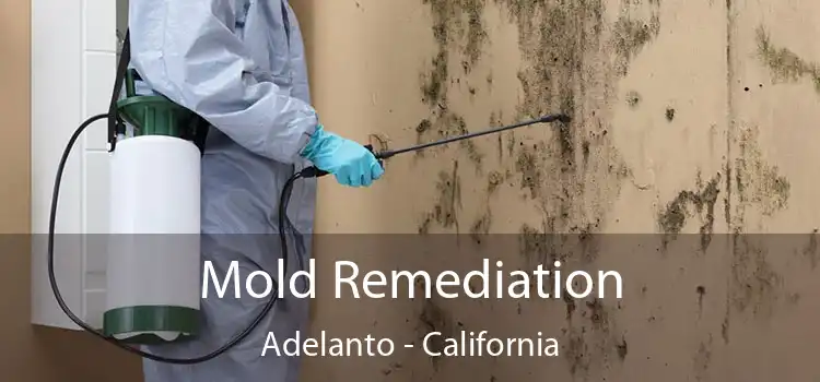 Mold Remediation Adelanto - California