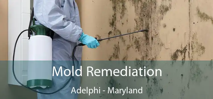 Mold Remediation Adelphi - Maryland