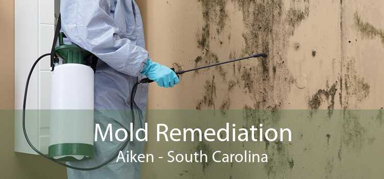 Mold Remediation Aiken - South Carolina