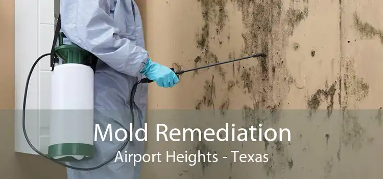 Mold Remediation Airport Heights - Texas