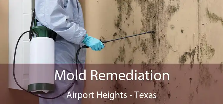 Mold Remediation Airport Heights - Texas