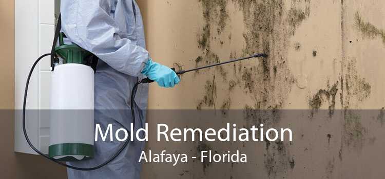 Mold Remediation Alafaya - Florida