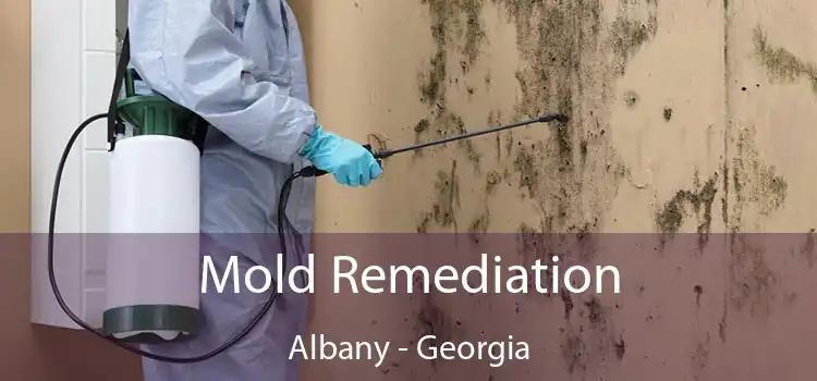 Mold Remediation Albany - Georgia