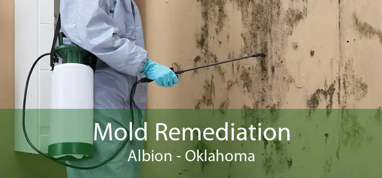 Mold Remediation Albion - Oklahoma