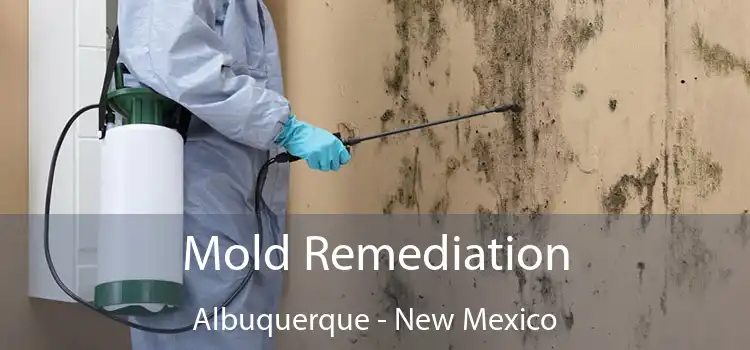 Mold Remediation Albuquerque - New Mexico