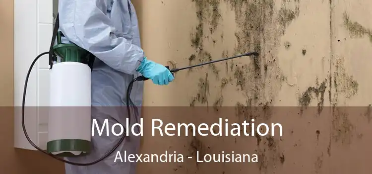 Mold Remediation Alexandria - Louisiana