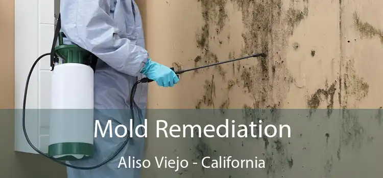 Mold Remediation Aliso Viejo - California