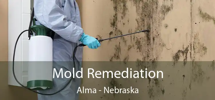 Mold Remediation Alma - Nebraska