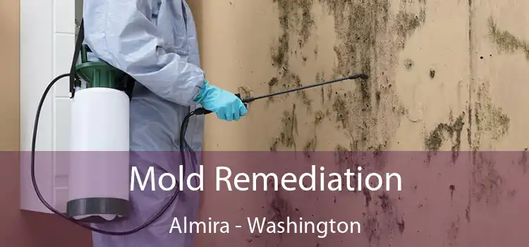 Mold Remediation Almira - Washington