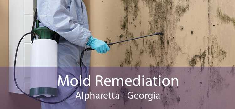 Mold Remediation Alpharetta - Georgia