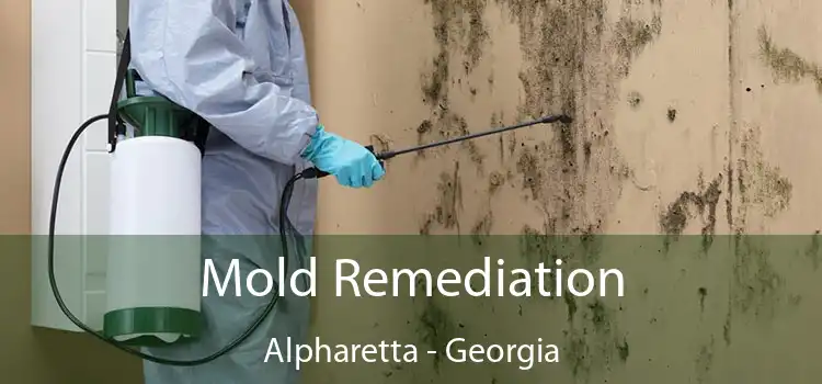 Mold Remediation Alpharetta - Georgia