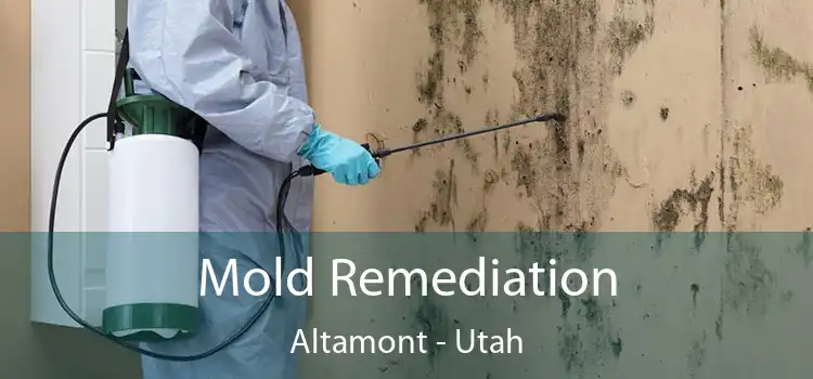 Mold Remediation Altamont - Utah