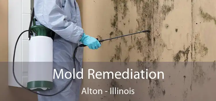 Mold Remediation Alton - Illinois