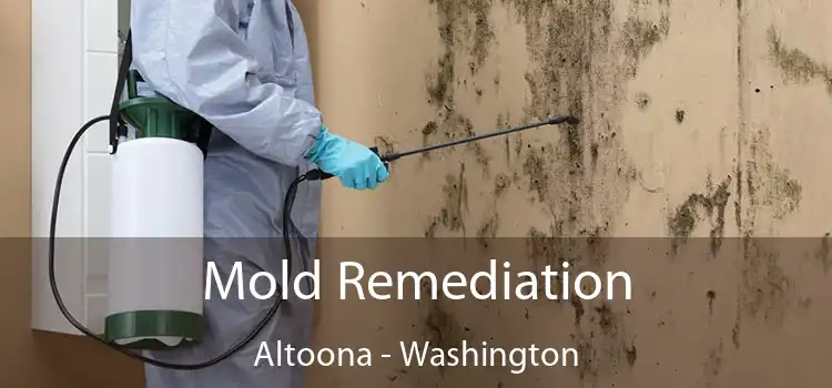 Mold Remediation Altoona - Washington