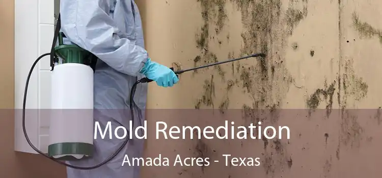 Mold Remediation Amada Acres - Texas