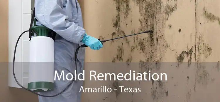 Mold Remediation Amarillo - Texas
