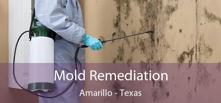 Mold Remediation Amarillo - Texas