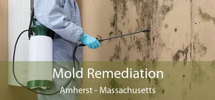 Mold Remediation Amherst - Massachusetts