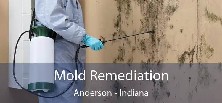 Mold Remediation Anderson - Indiana