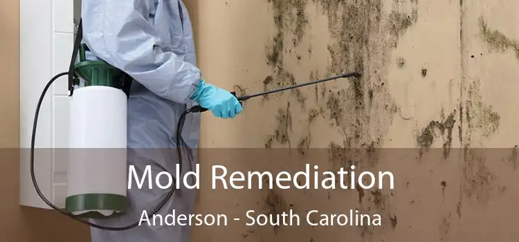 Mold Remediation Anderson - South Carolina