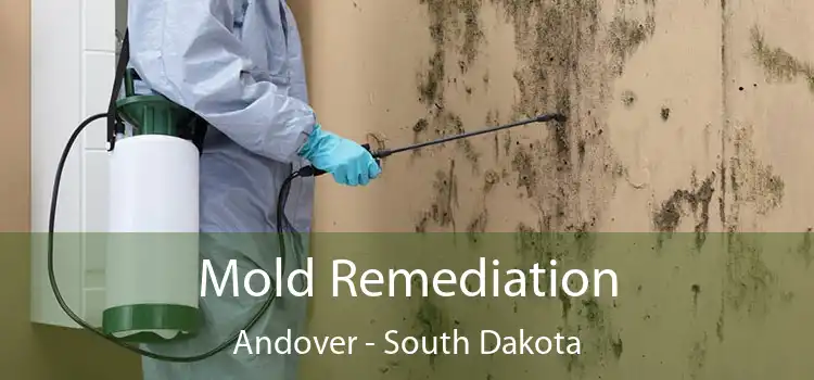 Mold Remediation Andover - South Dakota