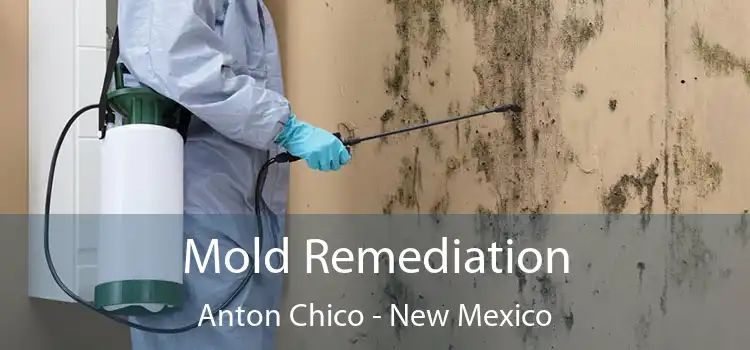 Mold Remediation Anton Chico - New Mexico