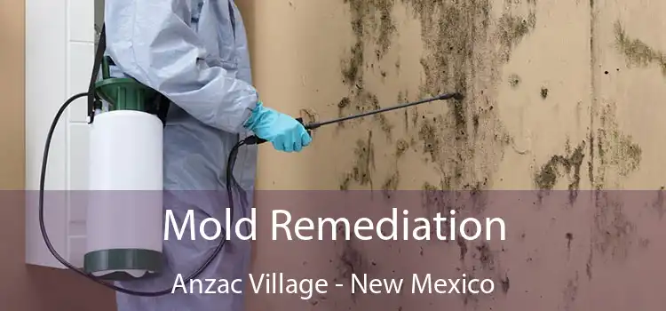 Mold Remediation Anzac Village - New Mexico