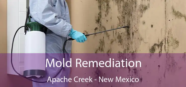 Mold Remediation Apache Creek - New Mexico