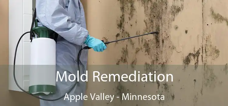 Mold Remediation Apple Valley - Minnesota