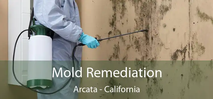 Mold Remediation Arcata - California