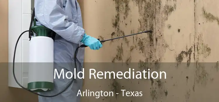 Mold Remediation Arlington - Texas